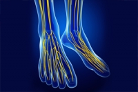 What Causes Peripheral Neuropathy?
